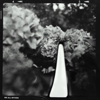 We All Wither - Single - CaliberBeats & Syndrome