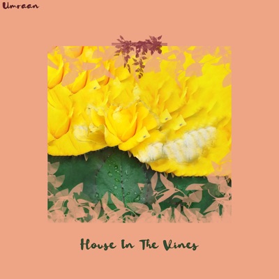 House in the Vines - Single