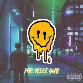 Mr. Nice Guy Psychedelic Sidekick