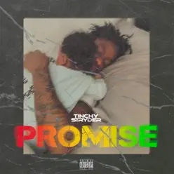 Promise - Single - Tinchy Stryder Promise - Single - Tinchy Stryder