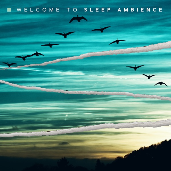 Welcome to Sleep Ambience