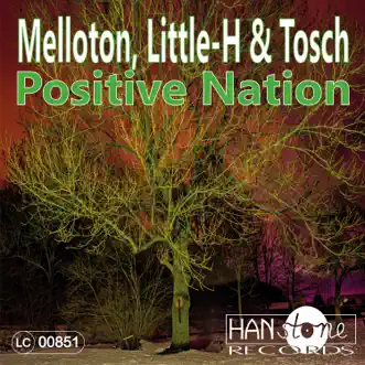 Positive Nation (Extended Mix) by Melloton, Little-H & Tosch song reviws