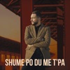 Shume Po Du Me T'pa - Single