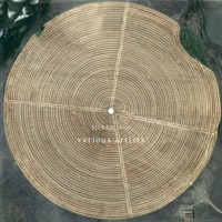 Seabuckthorn - After Image