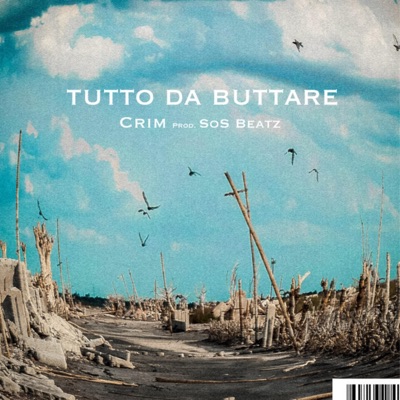 Tutto Da Buttare (feat. Crim & SoS Beatz) - Single
