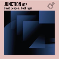 Junction 002 - Cool Tiger & David Scopes