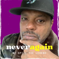 Never Again - Single - MC Spice The Legend
