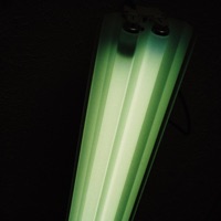 Moneyprblm (feat. Joe Gotti) - Single - Cash Benjamin