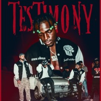 Testemony - Single - Tund3