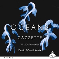 Oceans (feat. Leo Stannard) [Dave Winnel Remix] - Single - Cazzette
