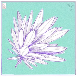 Verdant goosetaf & chromonicci