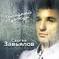 Холодный дождь - Сергей Завьялов