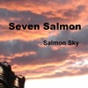 Salmon Sky