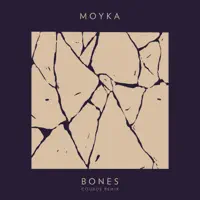 Bones — Moyka
