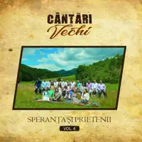 Sunt în valea plângerii