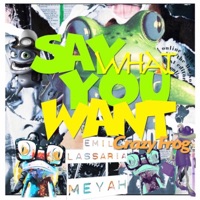 Say What You Want - Single - Emil Lassaria & Meyah
