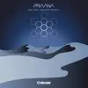 Praana - Mojave (Boxer Remix)