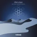 Mojave (Boxer Remix)
