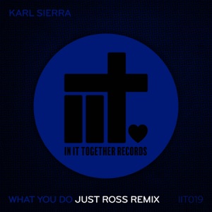 What You Do (Just Ross Remix) - Single