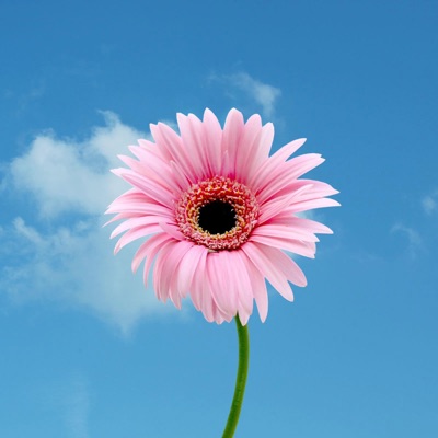 Make You Happy - Single