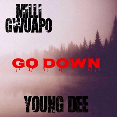 Go Down (feat. Mill Gwuapo) - Single