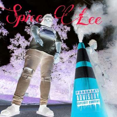 Spice Lee (feat. Donny Wo) - Single