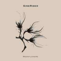 Sinerider