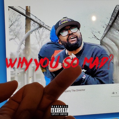 Why You So Mad? - Single
