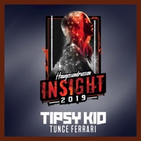 Insight 2019 (feat. Tunge Ferrari) - Single - Tipsy Kid
