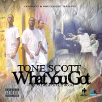 What You Got (feat. Square Biz & Charle Moore) - Single - Tone Scott
