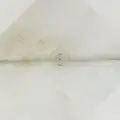 Orpo