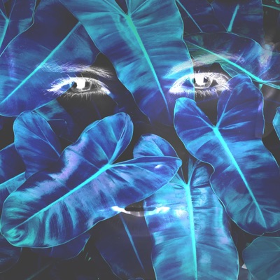 She's So Evil (feat. Cold Illumination) - Single