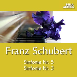 Sinfonie No. 5 für Kammerorchester in B Major, D. 485: III. Menuetto. Allegro molto