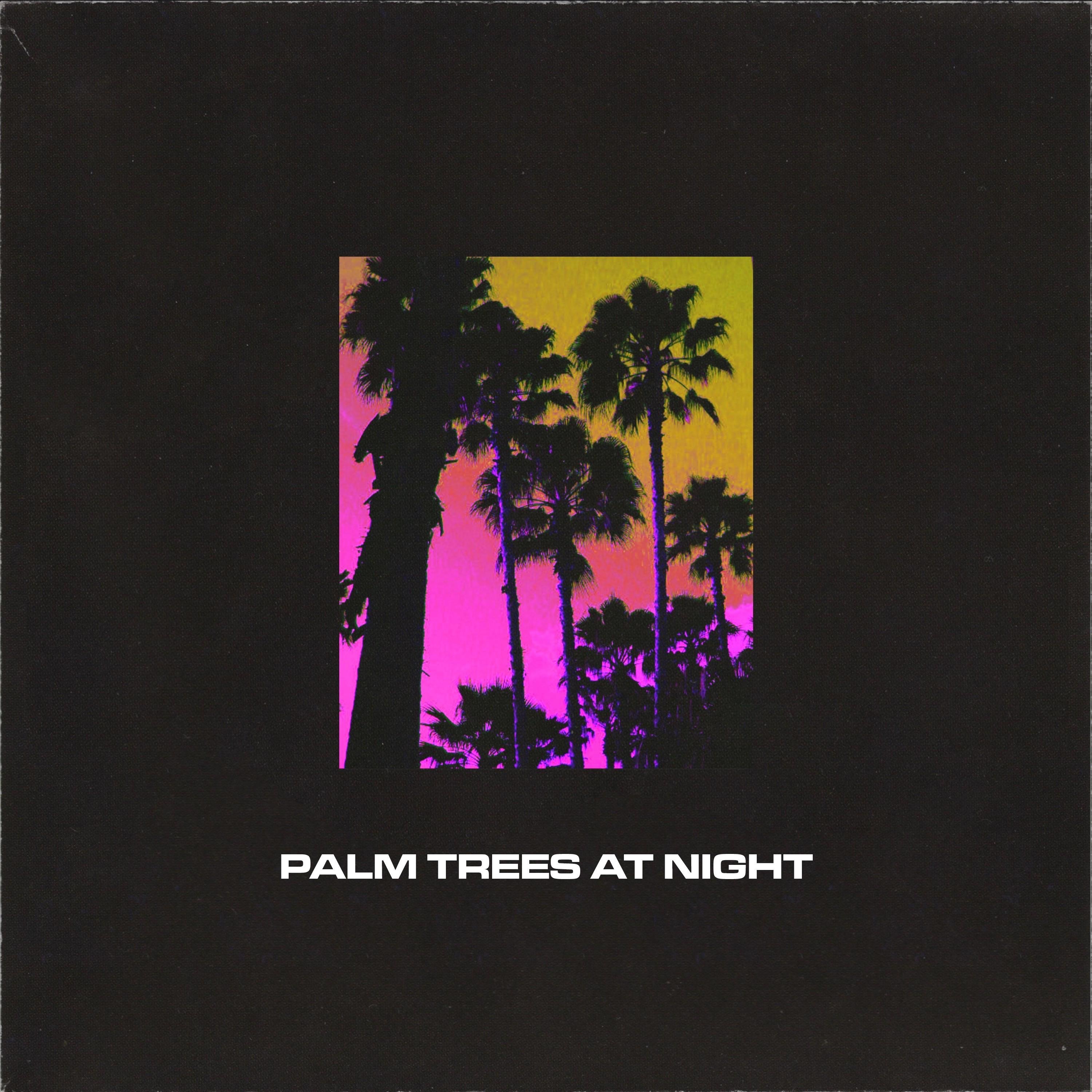 Palm Trees at Night - EP