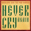 Never Cry Again - Single