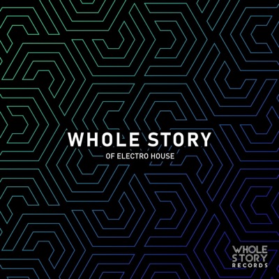 Whole Story of Electro House