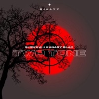 Two Tone (feat. Slickkai & Kanary Blac) - Single - DJaayy
