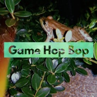 Game Hop Bop - Single - CeeDubelu