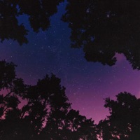 Vidura - Single - Sublab & Azaleh