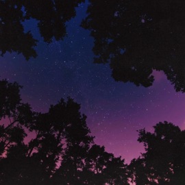 Vidura Sublab & Azaleh