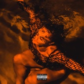 Fire In the Water artwork