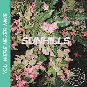 You Were Never Mine - Single