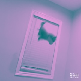 Prettier Than Fame Koede