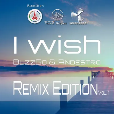 Hör dir „I Wish - Remix Edition, Vol. 1 - Single“ von BuzzGo & Andestro an