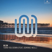 Turn You Down (feat. Dominic Neill) artwork