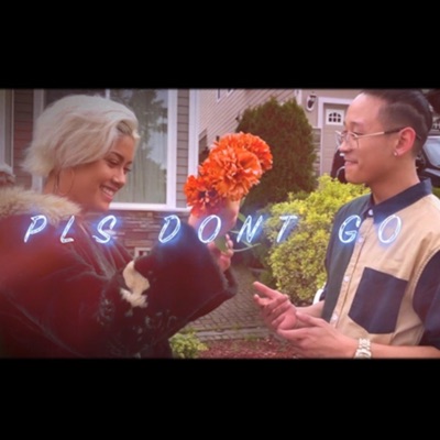 Pls Don't Go - Single