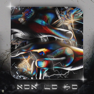 Non Lo So (feat. Charliebrxwn) - Single