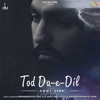 Tod Da-e-Dil - Single, 2020