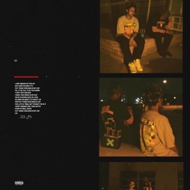 Feelings in My Cup (feat. RobOlu) 33° 84°