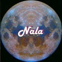 Nala - Single - Arti.K